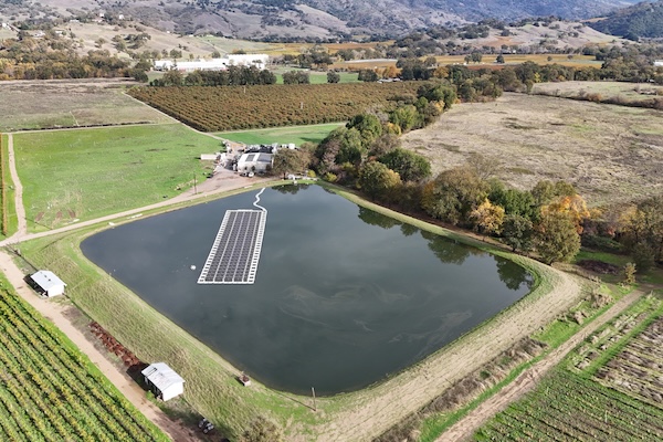 Nelson Family Vineyards Powers 100% of Operations with Solar Energy, Reducing Electricity Costs by $90k Annually